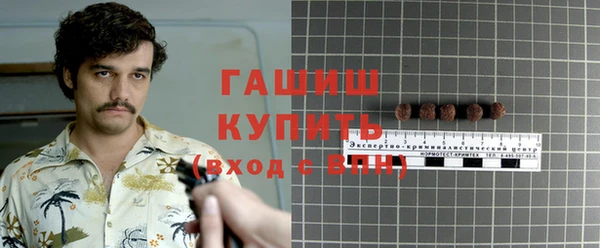 PSILOCYBIN Алзамай