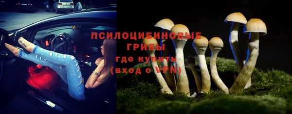 ГАЛЛЮЦИНОГЕННЫЕ ГРИБЫ Алексин