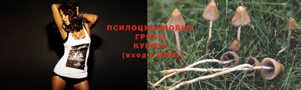 apvp Пересвет