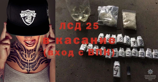 PSILOCYBIN Алзамай
