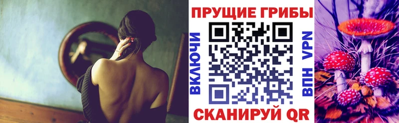 Галлюциногенные грибы Psilocybe  купить  цена  Николаевск 